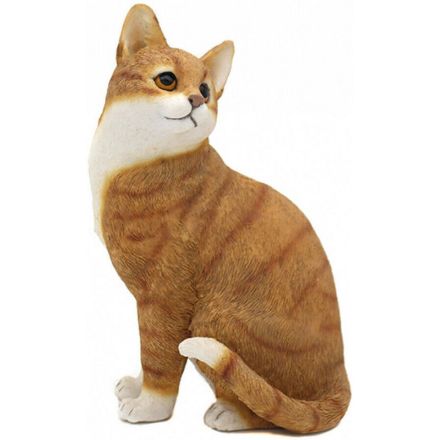 Picture of CAT SITTING GINGER & WHITE